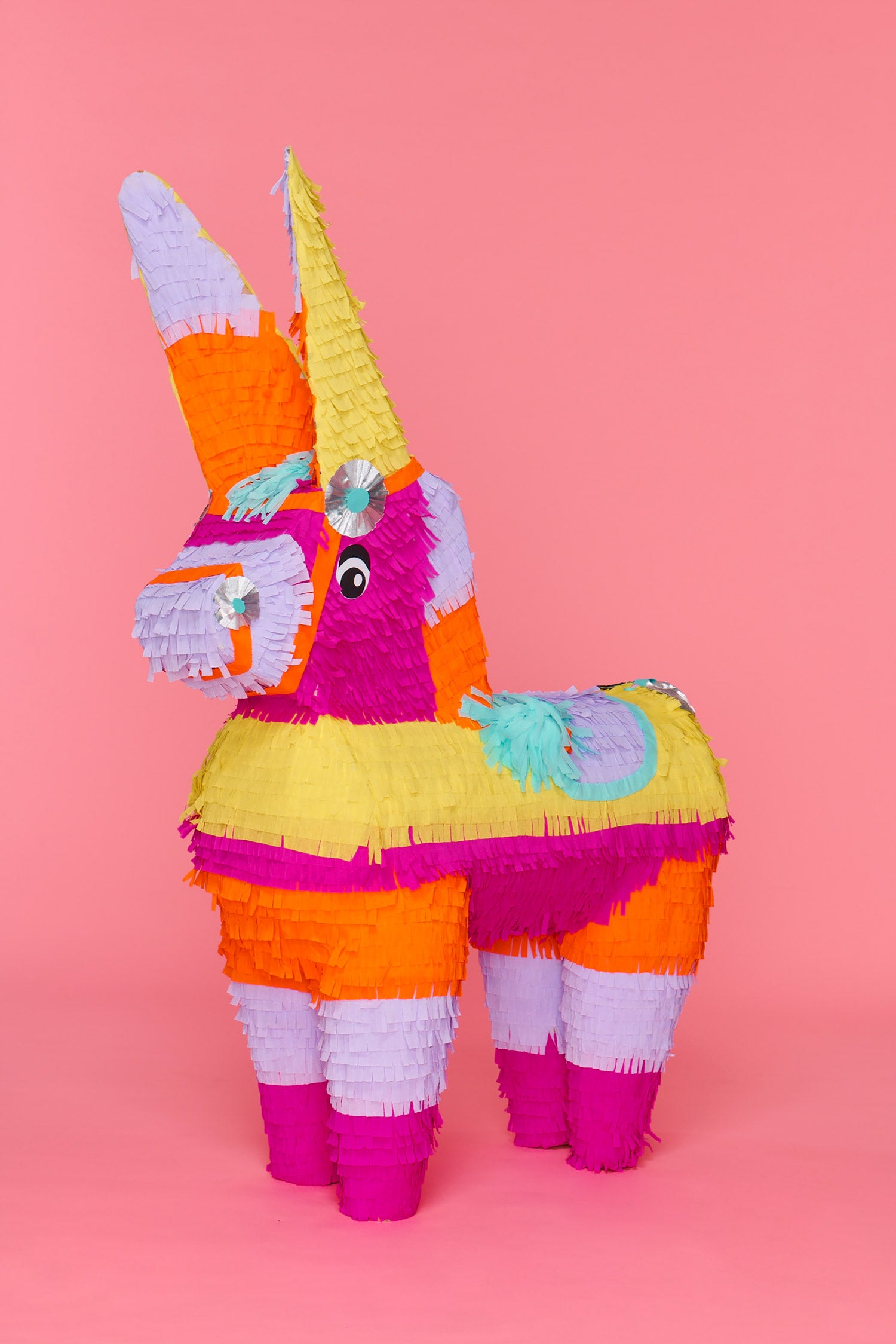 A giant, colorful, oversized, handmade donkey piñata stands against a pink background. 