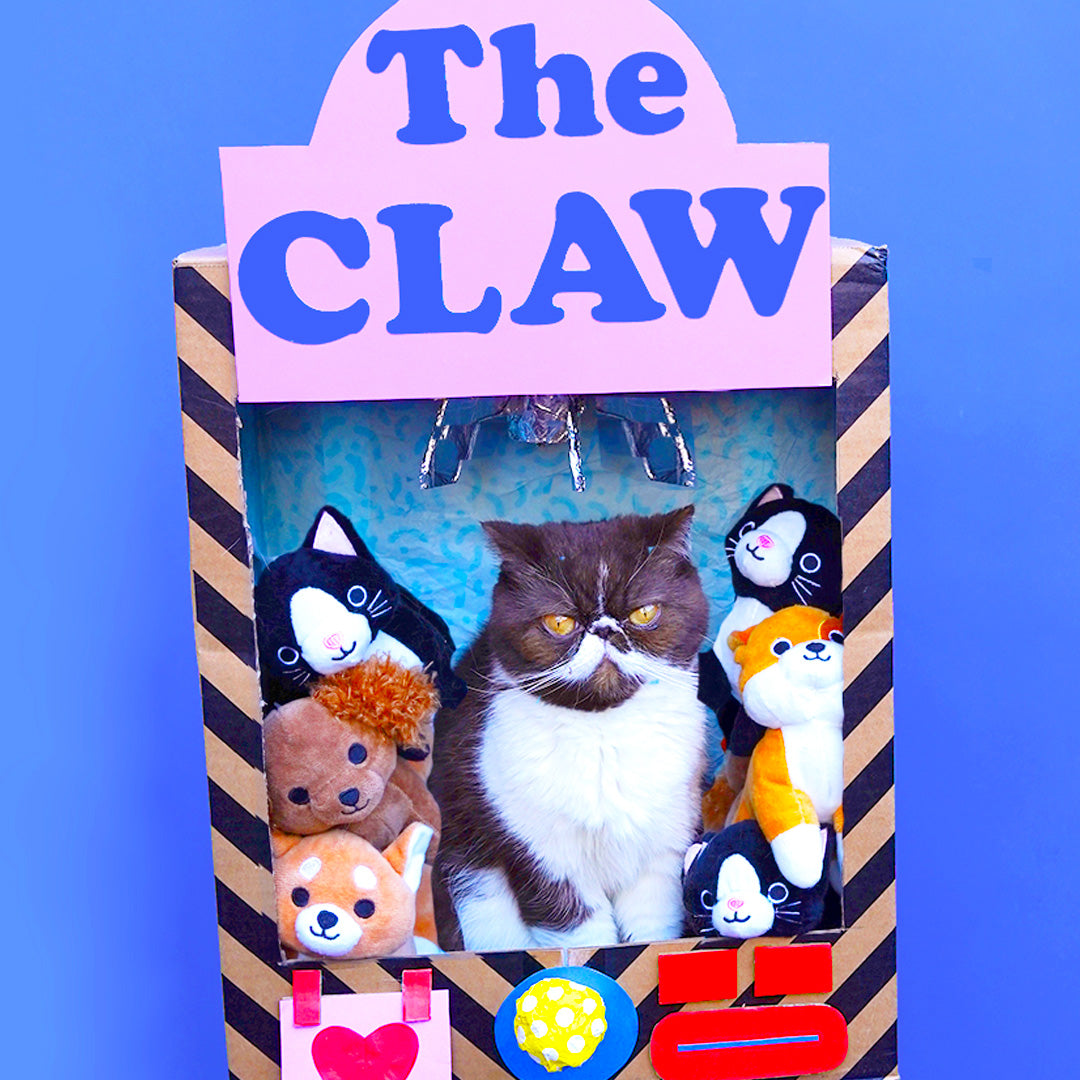 A small brown and white cat sits inside a cardboard box that has been transformed through craft to resemble a games arcade claw machine.