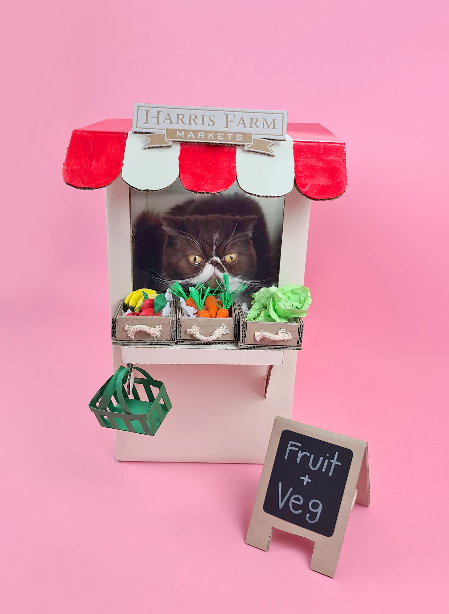 DIY Cardboard Mini Market For Your Pet