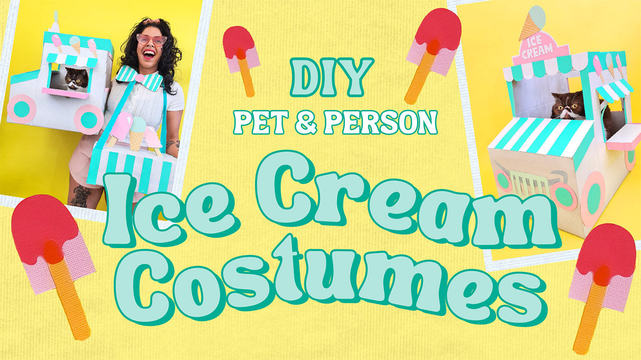 Youtube thumbnail for 'DIY Pet & Person Ice cream Costumes' video by Kitiya Palaskas. The image has paper icecream graphics and images of Kitiya and her cat in a cardboard boxtume